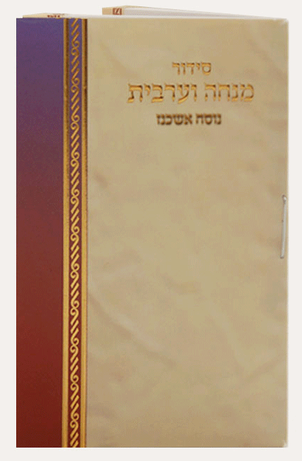 Mini Hebrew Mincha / Maariv