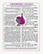 The Illustrated Birchon Bencher