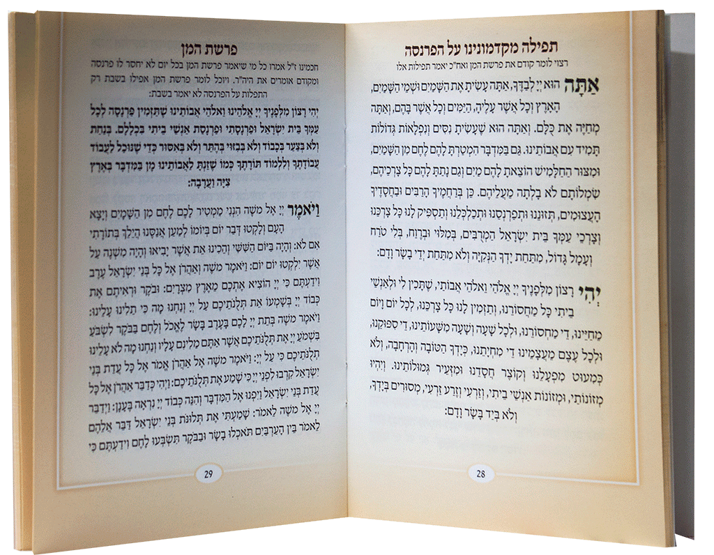 Shirat Hailanos Bencher