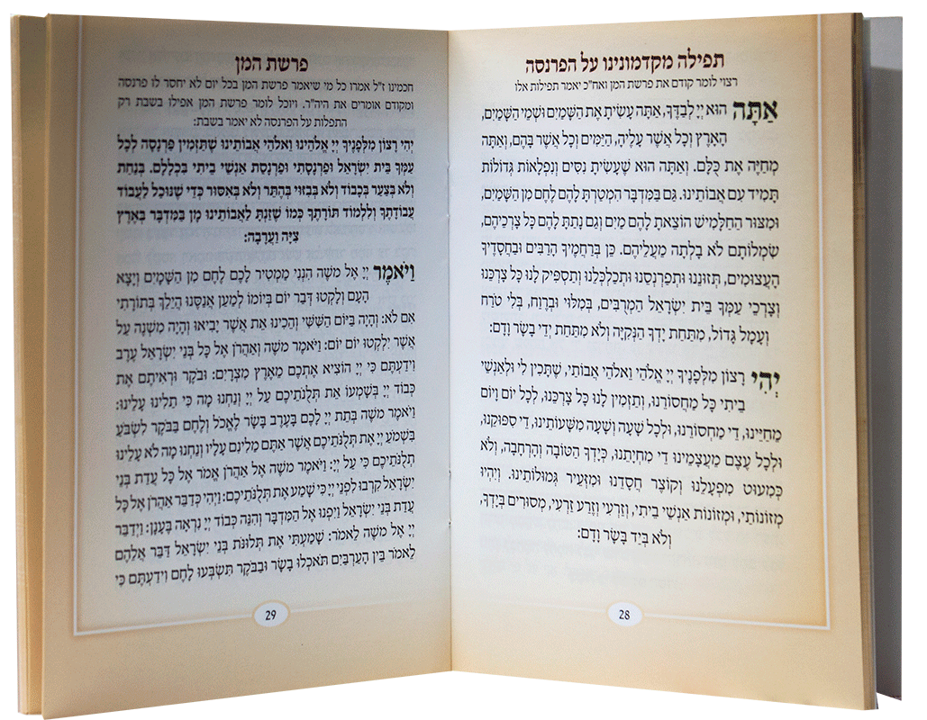 Shirat Hailanos Bencher