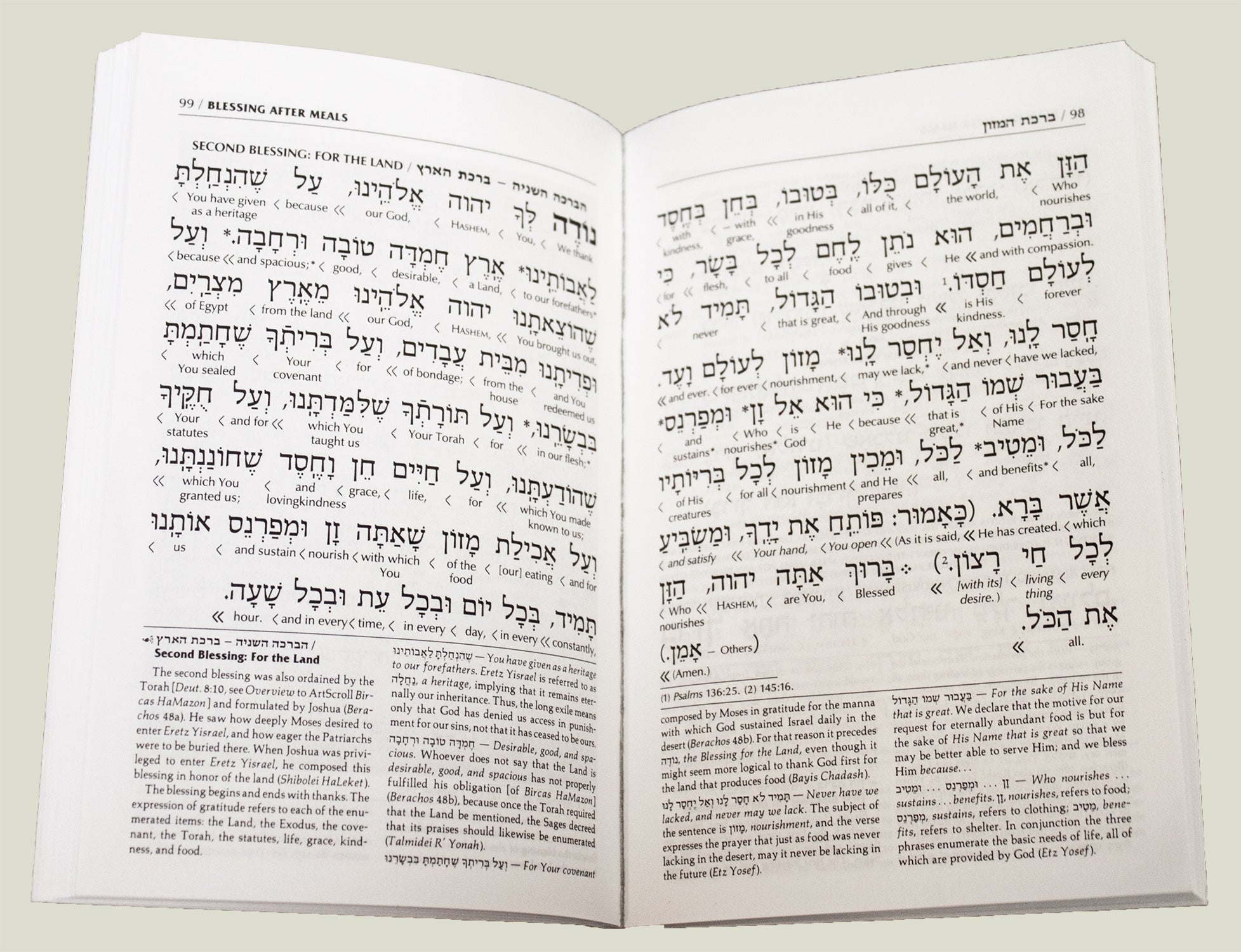 Interlinear M/M- Leatherette Cover