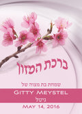 Bat Mitzvah