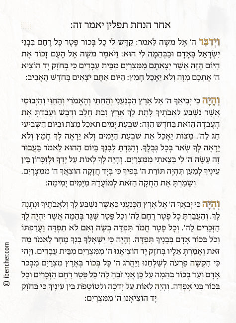 Custom Bencher: Hanachas Tefillin