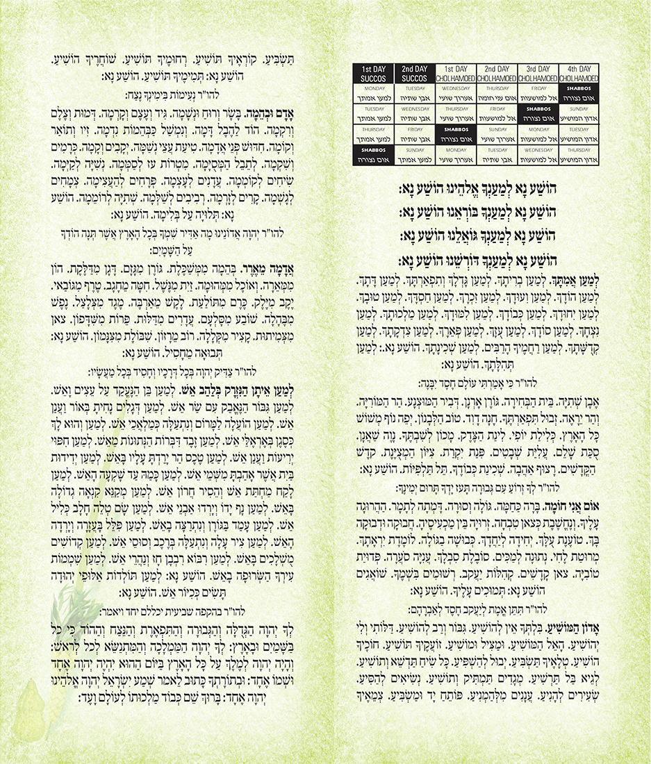 Laminated Hoshanos Card