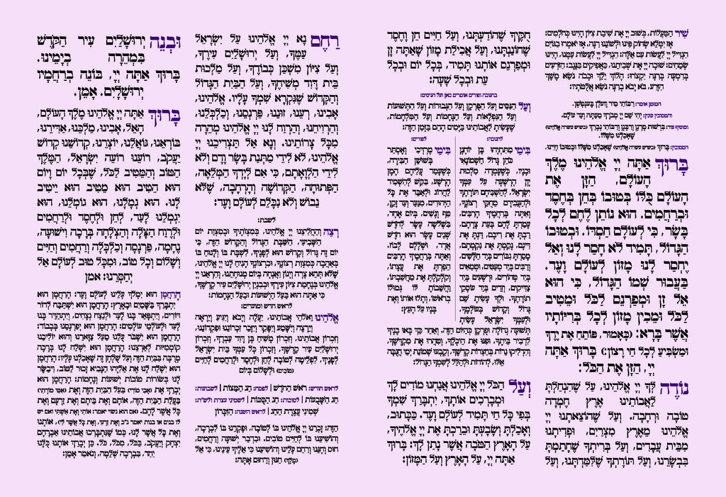 Bat Mitzvah 81