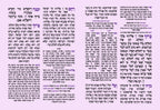 Bat Mitzvah 81
