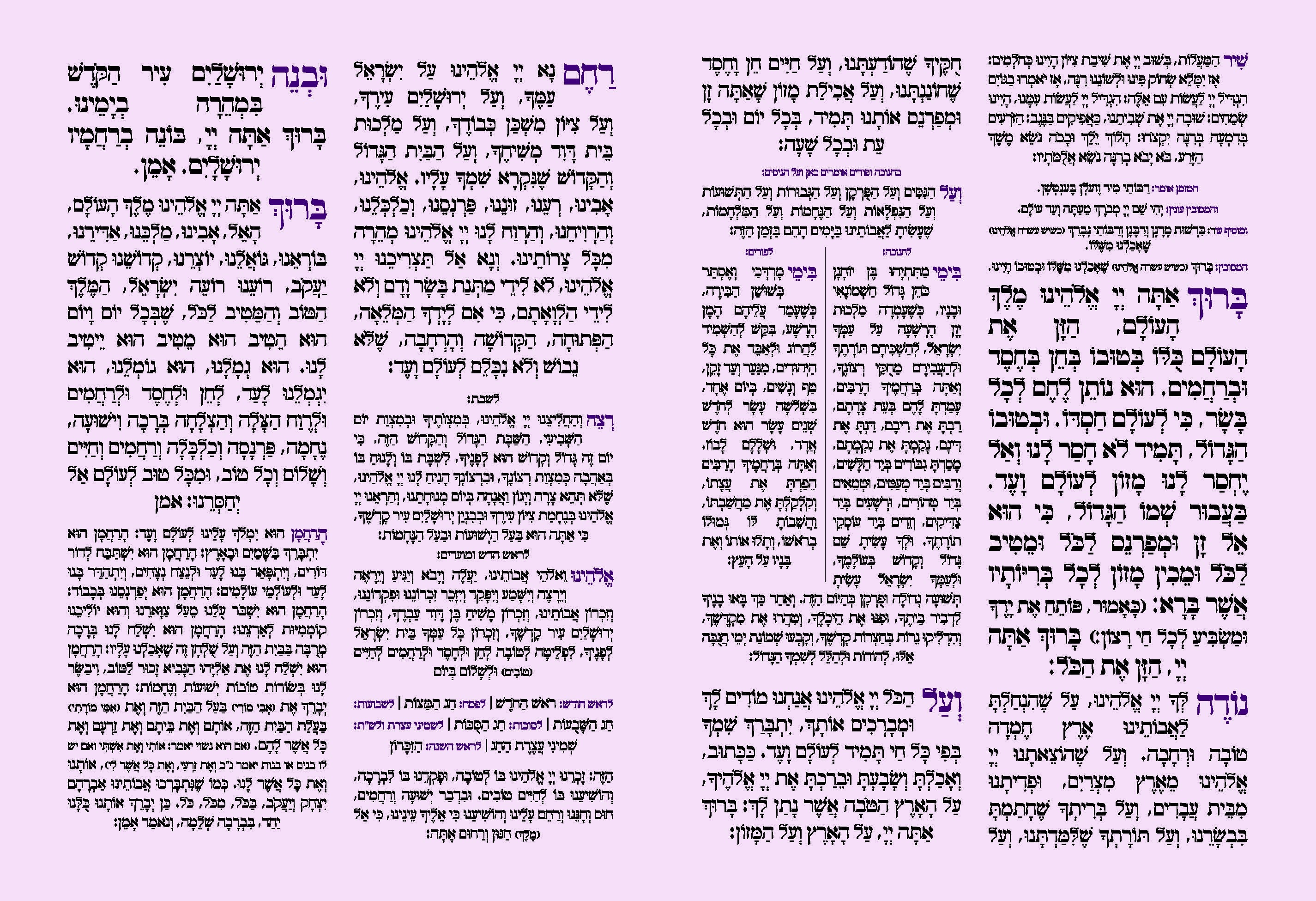 Bat Mitzvah 81