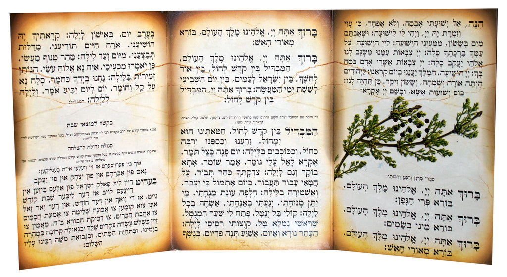Havdalah Laminated Card