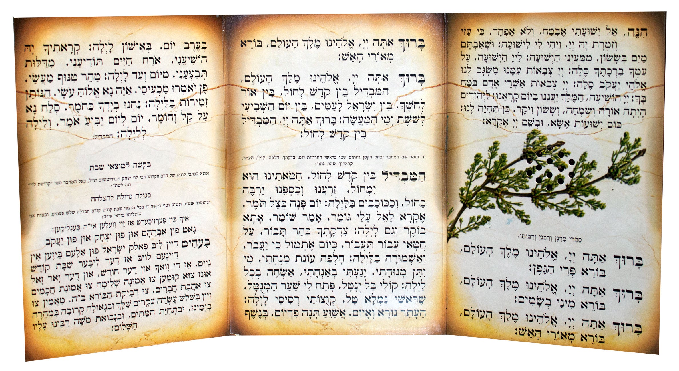 Havdalah Laminated Card