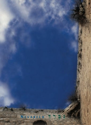 Nevarech Blue Sky Bencher