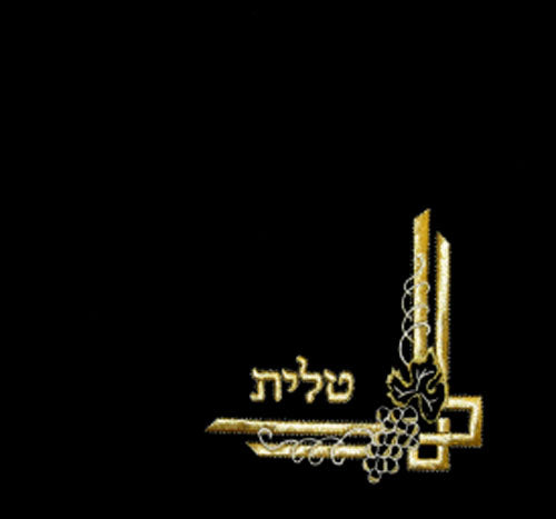 Tallis/Tefillin Bag - 122
