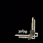 Tallis/Tefillin Bag - 122