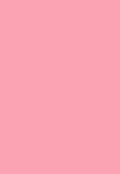 The NCSY Bencher Blank Pink Cover